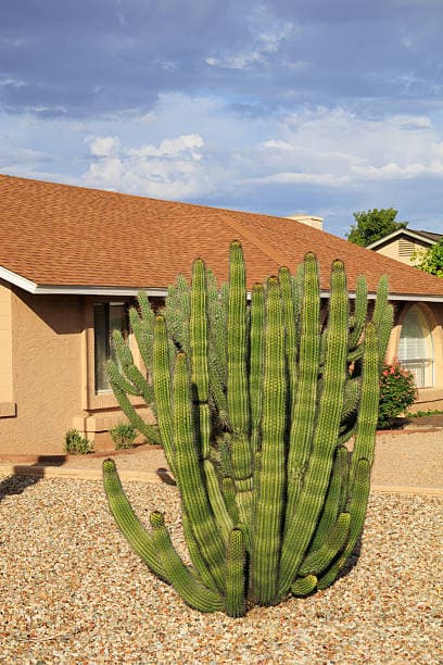exterior-remodel10