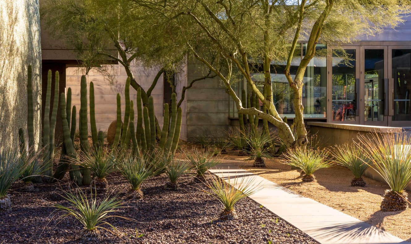 exterior-remodel7