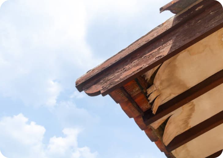 roof-rplacement4.jpg