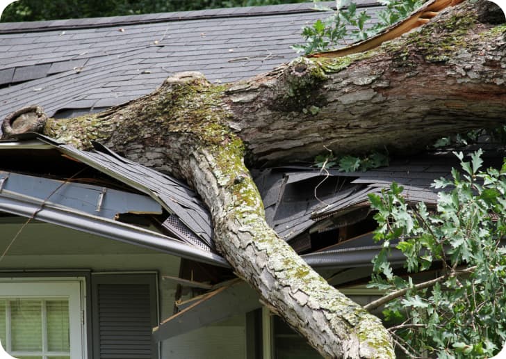 storm-damage5.jpg