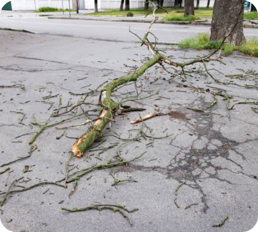 storm-damage8.jpg